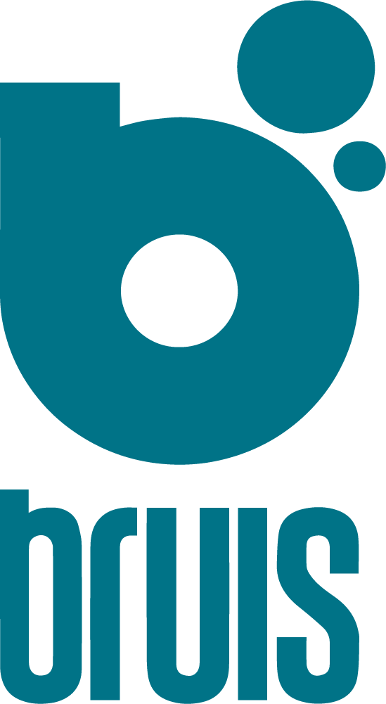 Bruis
