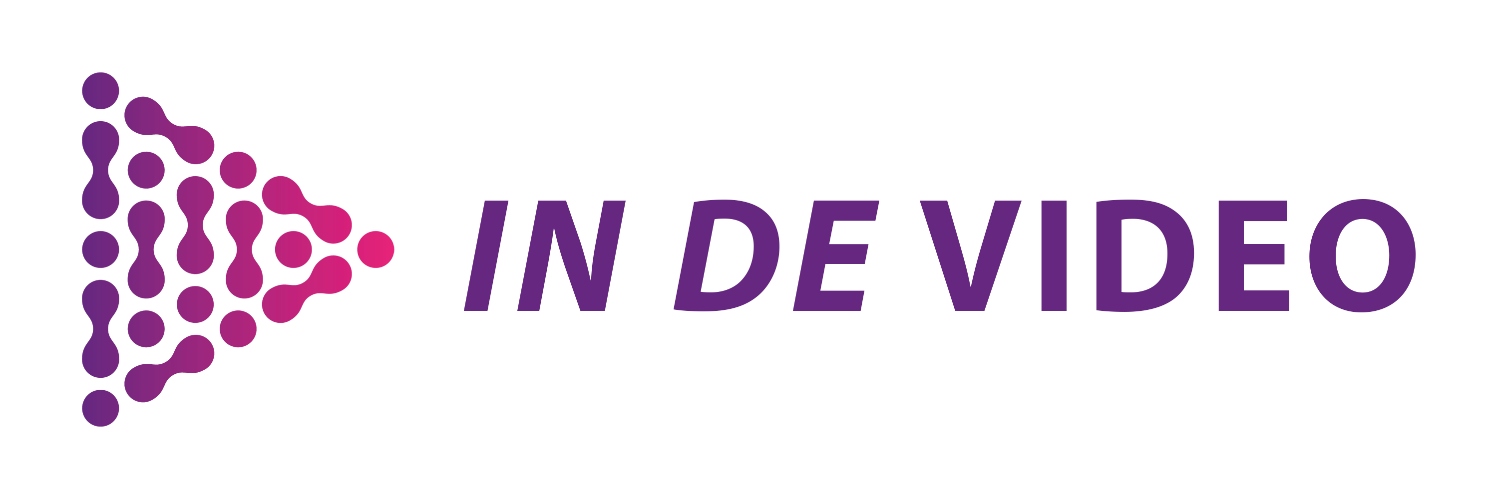 In de Video