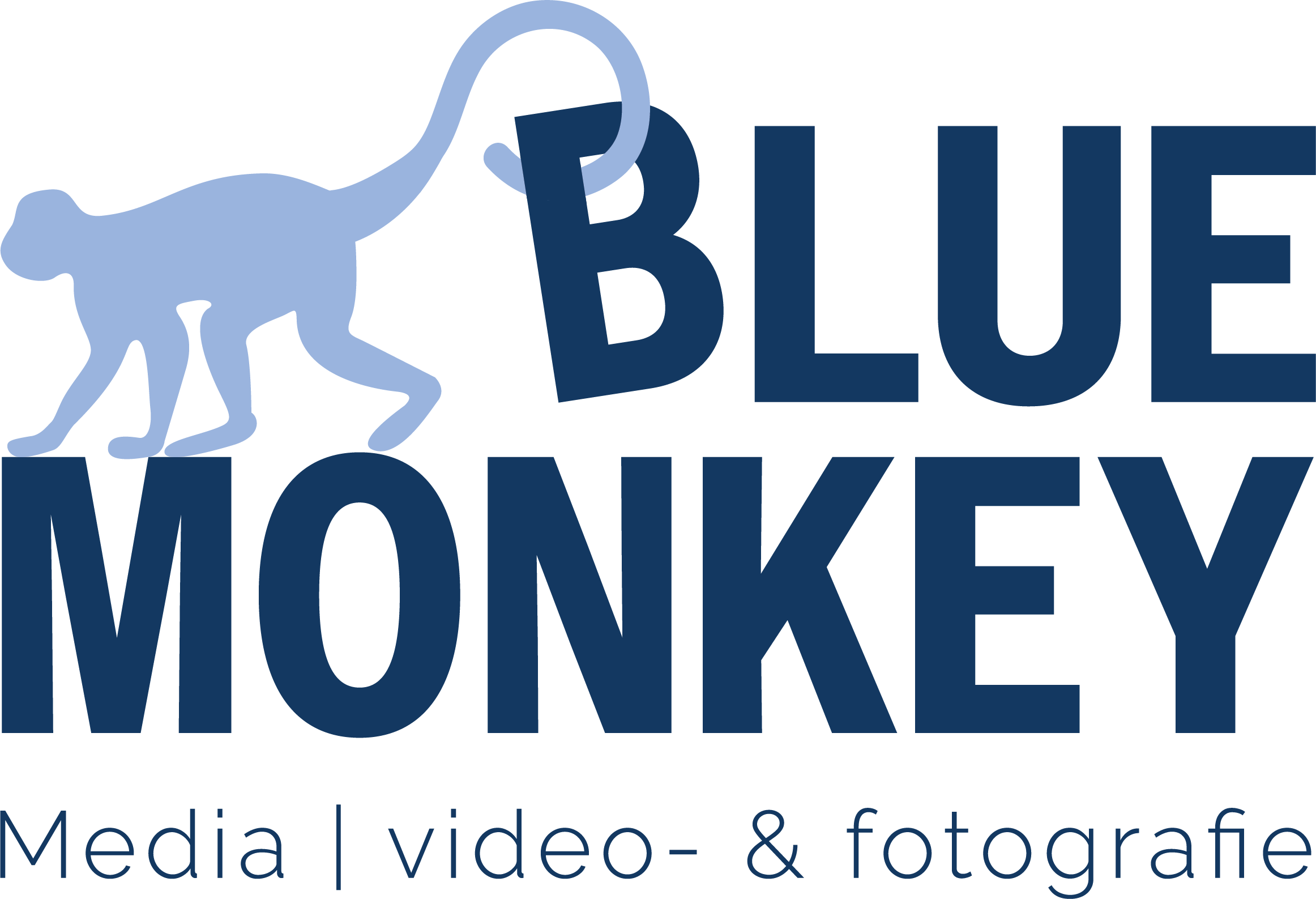 Blue Monkey Media