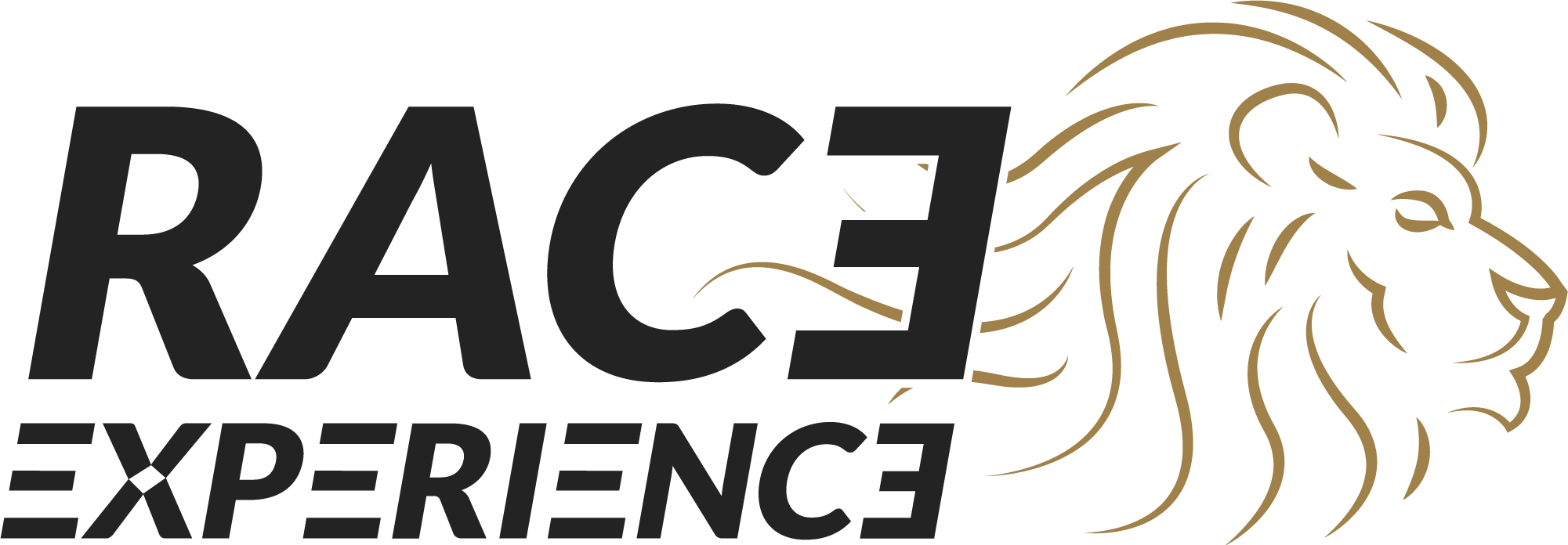 Race Experience BV