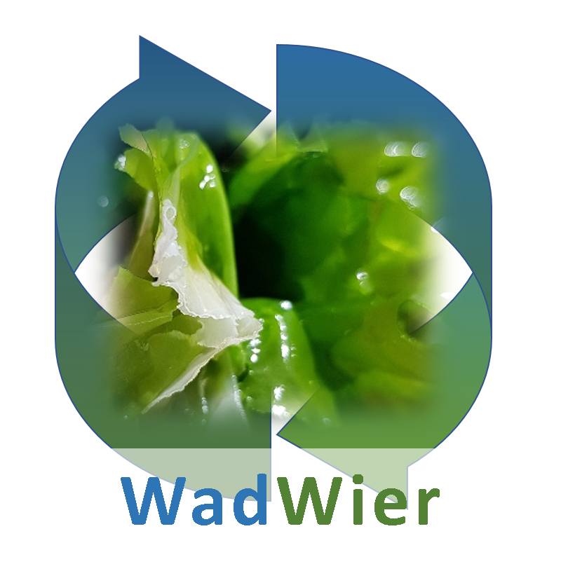 Wadwier