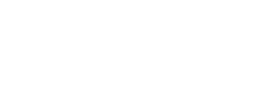 Warpnet & Nestor Security