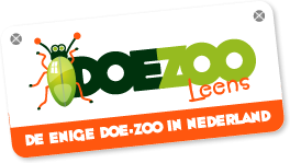 Doezoo Insektenwereld